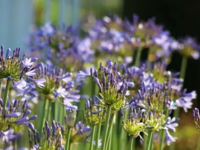 Picture95 638761603994523065